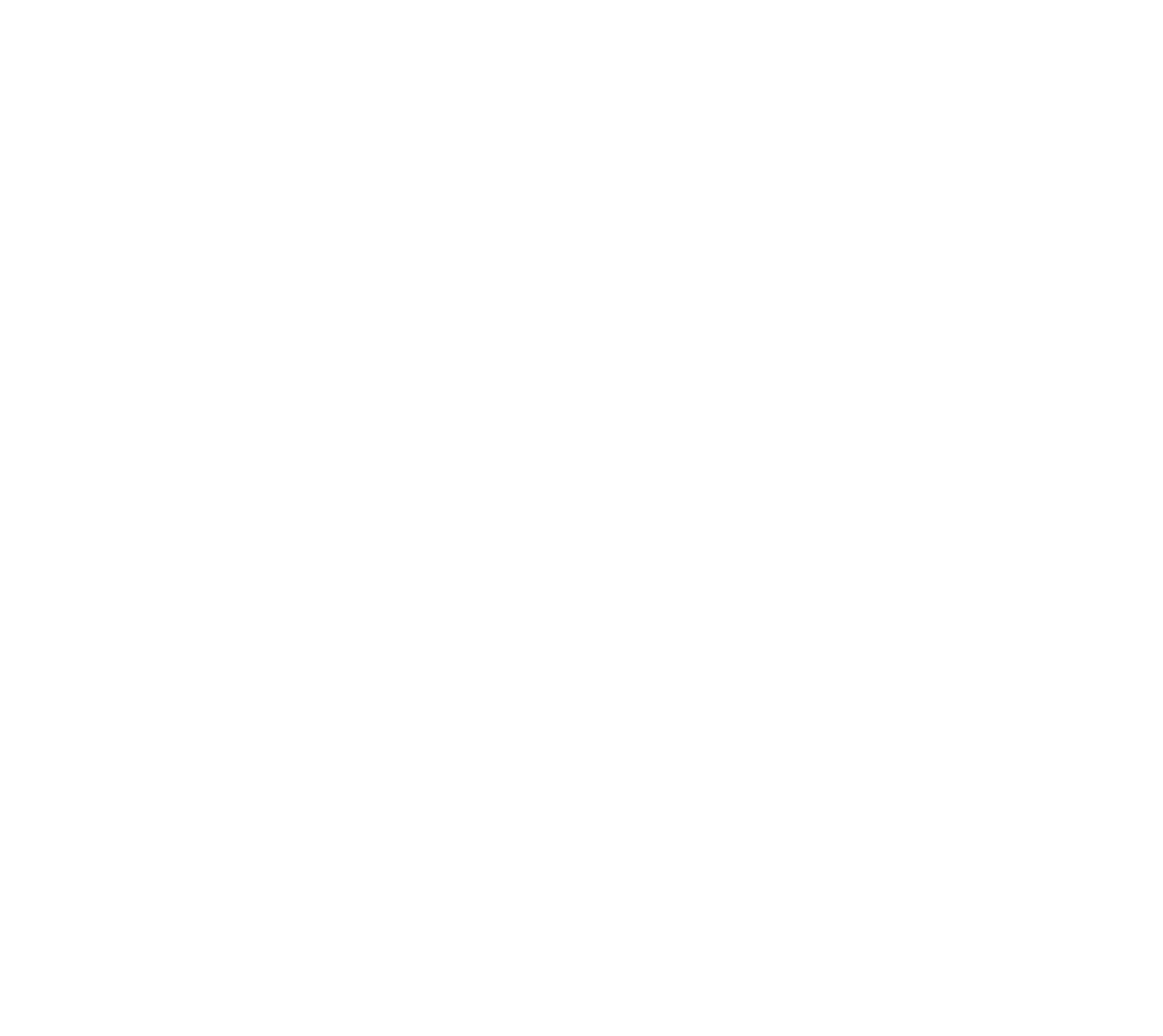 The AI Skizo